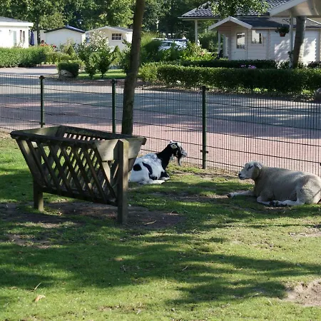 Holiday Droompark Molengroet.39 * Sint Pancras